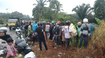 Tabrakan Lintas Pekanbaru Bangkinang Pengendara Verza Dikabarkan Tewas Masuk Jurang 5 Meter