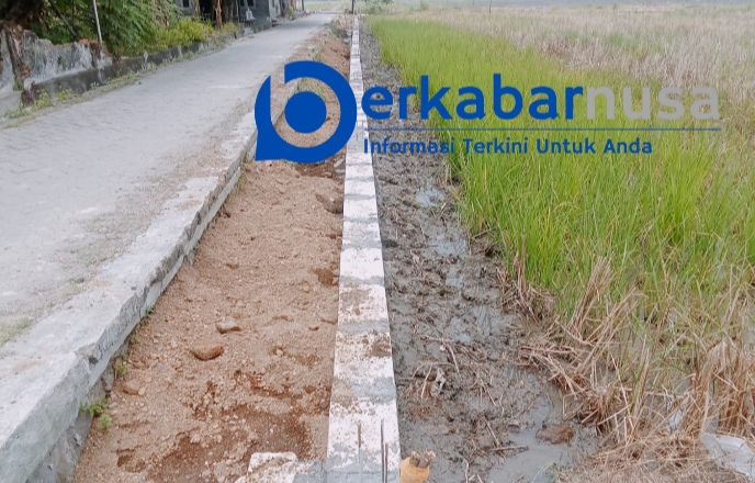 Pemdes Junwangi Lebarkan Jalan Sawah,Kades Syatra : Semua Untuk Kepentingan Bersama.